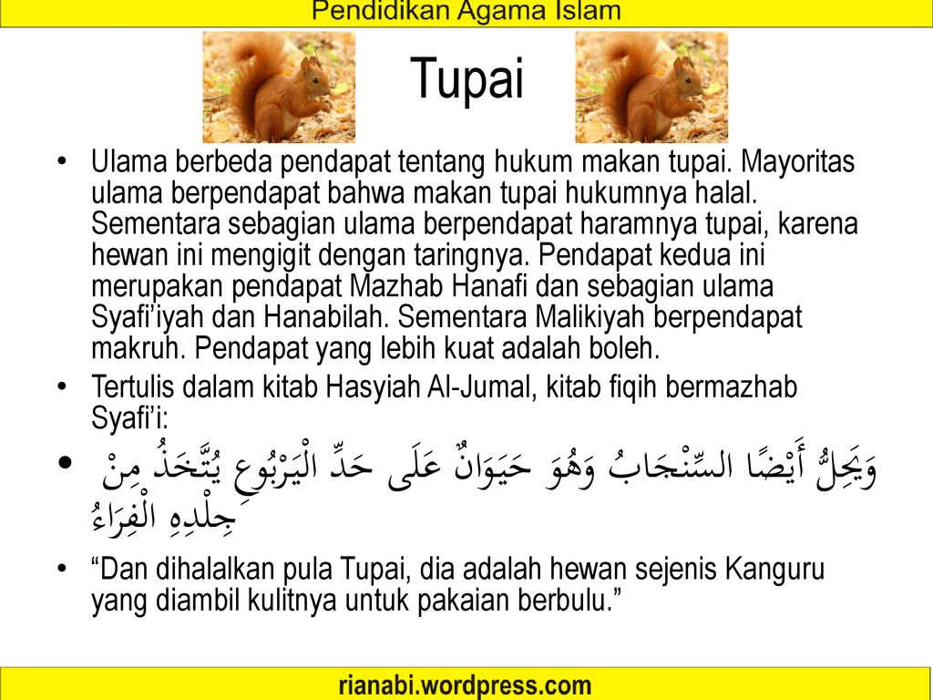 Binatang Halal Haram Rian Hidayat S Pd I Ppt Download