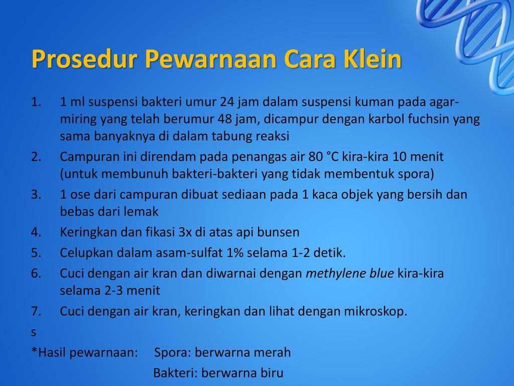 Morfologi Bakteri Dan Jenis Pewarnaan Bakteri Ppt Download