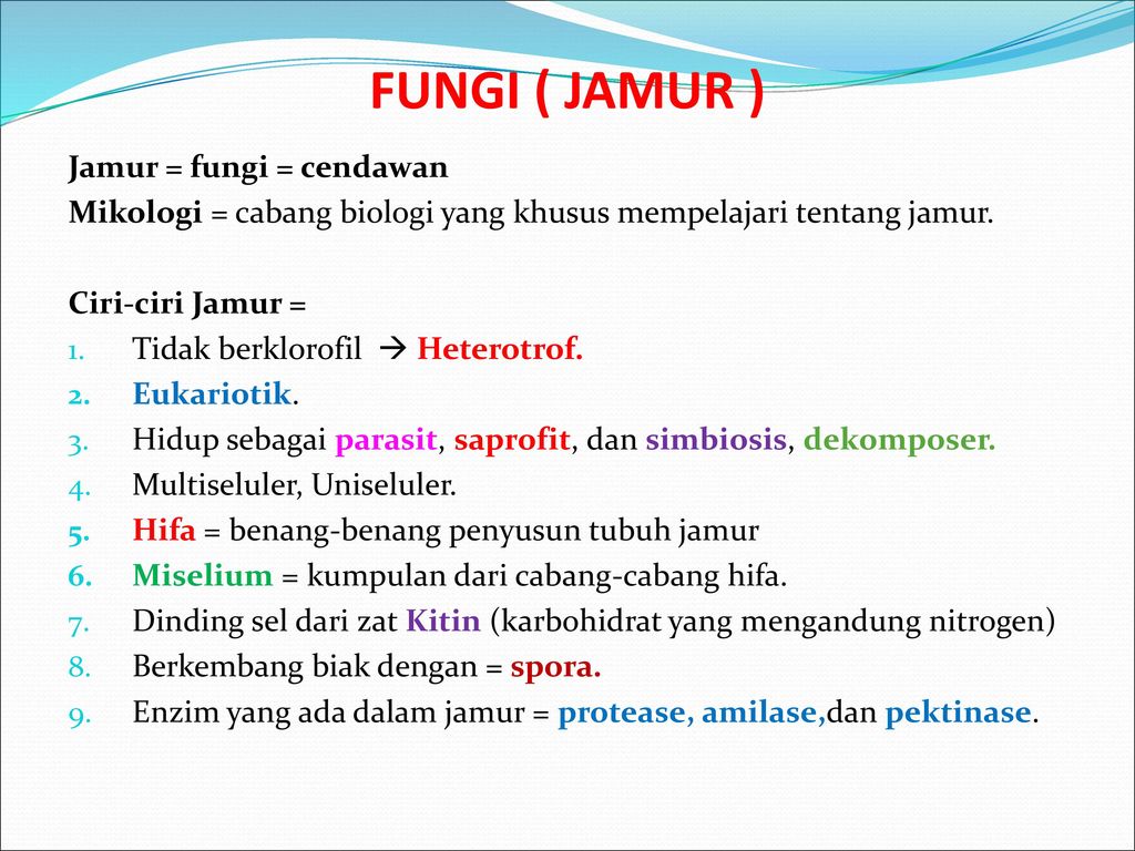 Bab Vi Jamur Ppt Download