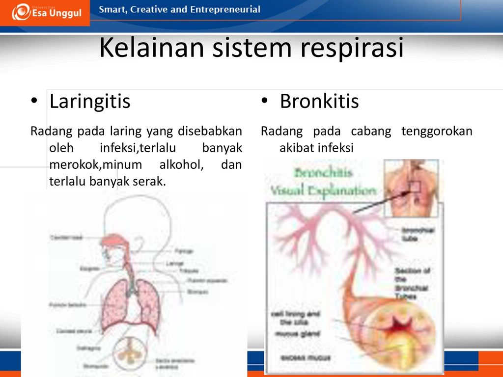 Deasy Rosmala Dewi Mkes Prodi Rmik Fakultas Ilmu Ilmu Kesehatan Ppt Download