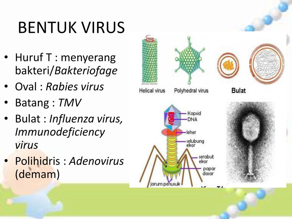 APAKAH PENYEBABNYA ?. - ppt download