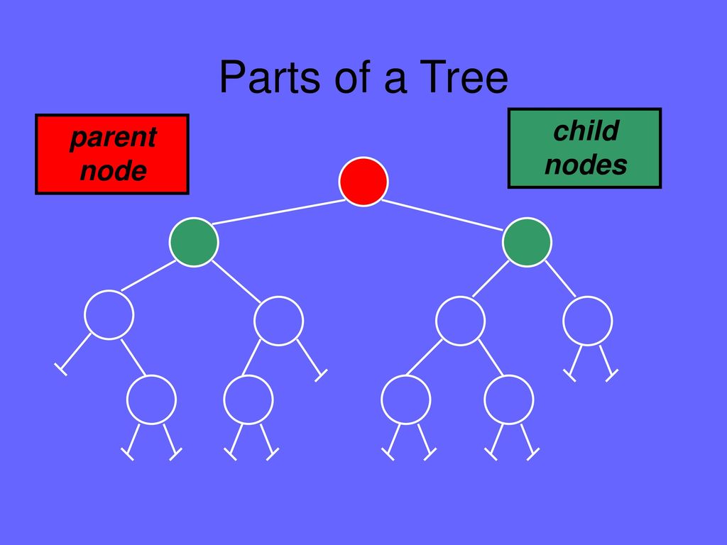 Parent child process