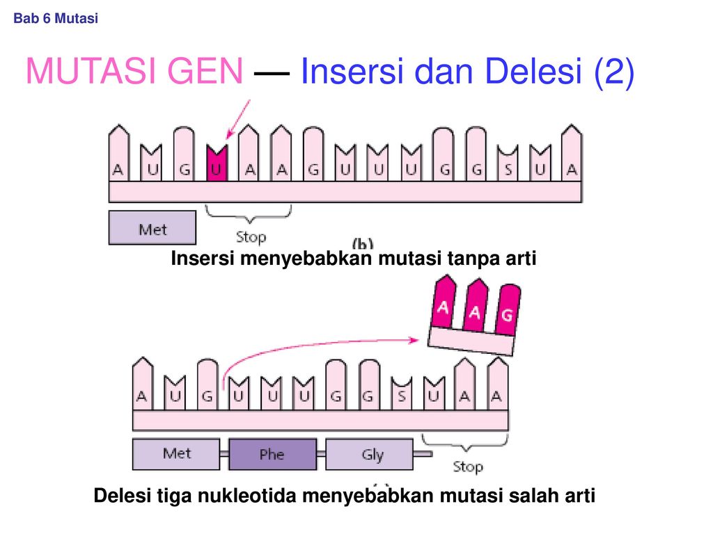 Bab 6 MUTASI. - Ppt Download