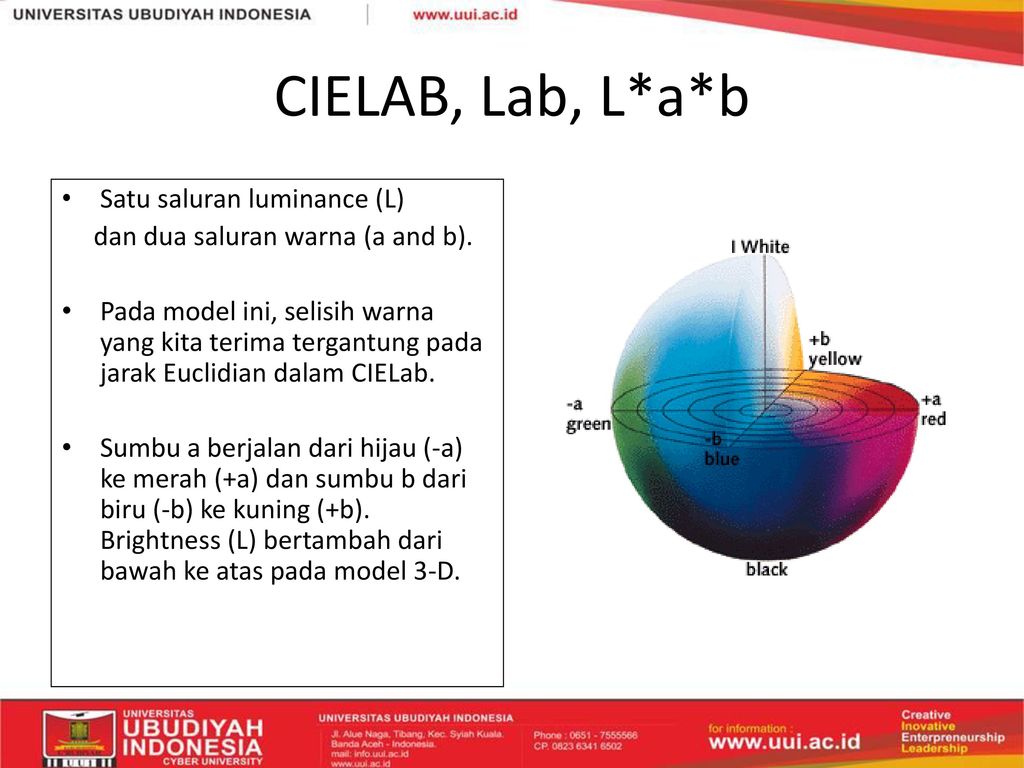 Tingkat Keabuan Dan Warna Citra Ppt Download