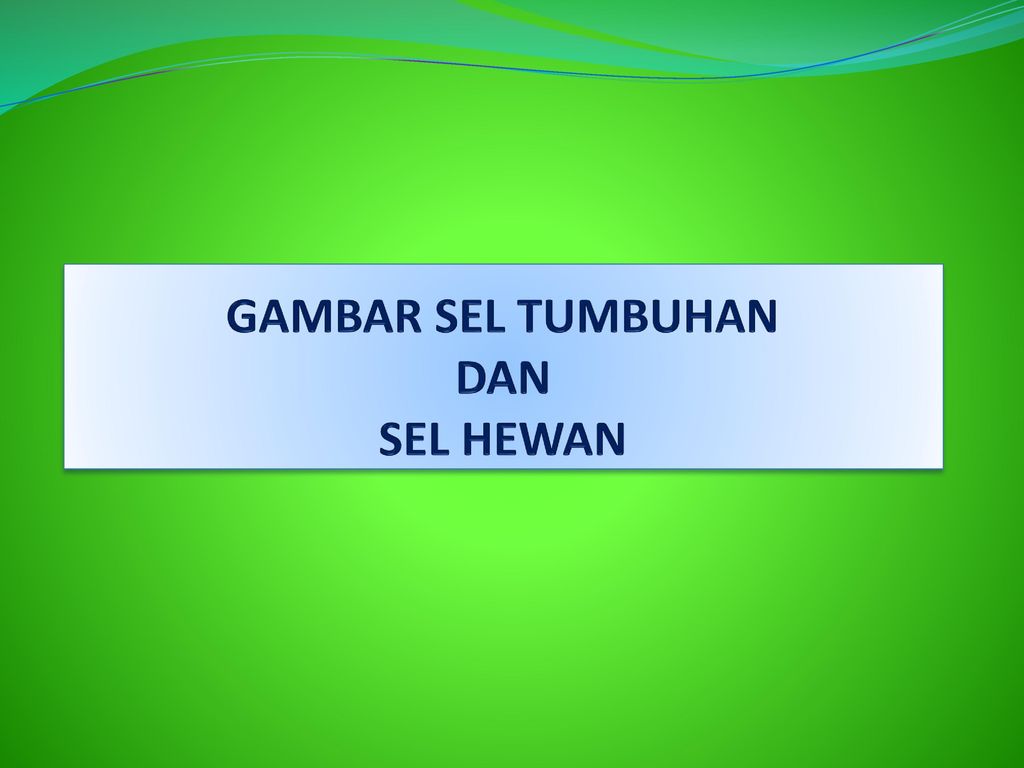 Gambar Sel Tumbuhan Dan Sel Hewan Beserta Organelnya Ppt