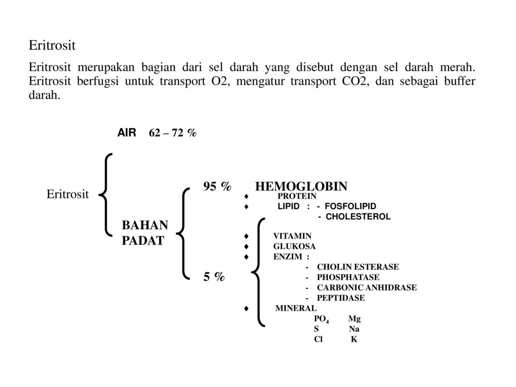 Skenario 1 Blok Hematologi Sistem Limfatik Dan Endokrin Tutor Ppt Download