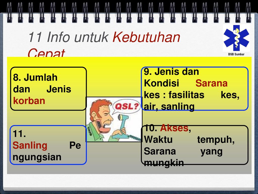 Info 11