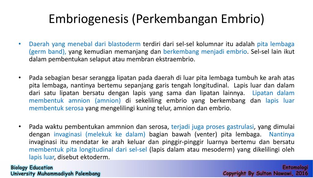 Tahapan Perkembangan Embrio Pada Manusia Secara Berurutan Adalah