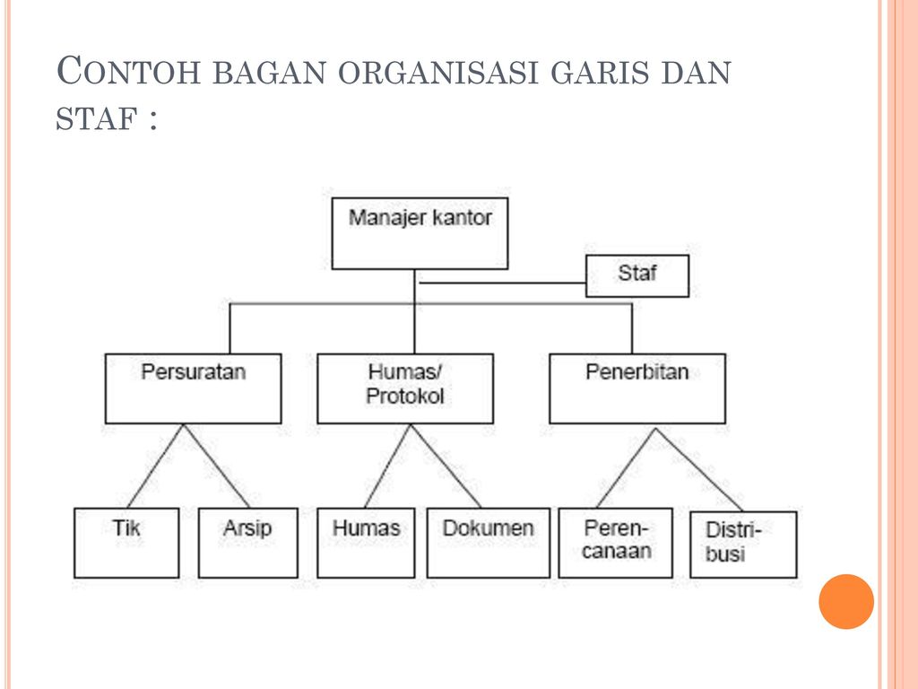 Contoh Organisasi Garis Dan Staf – Brain