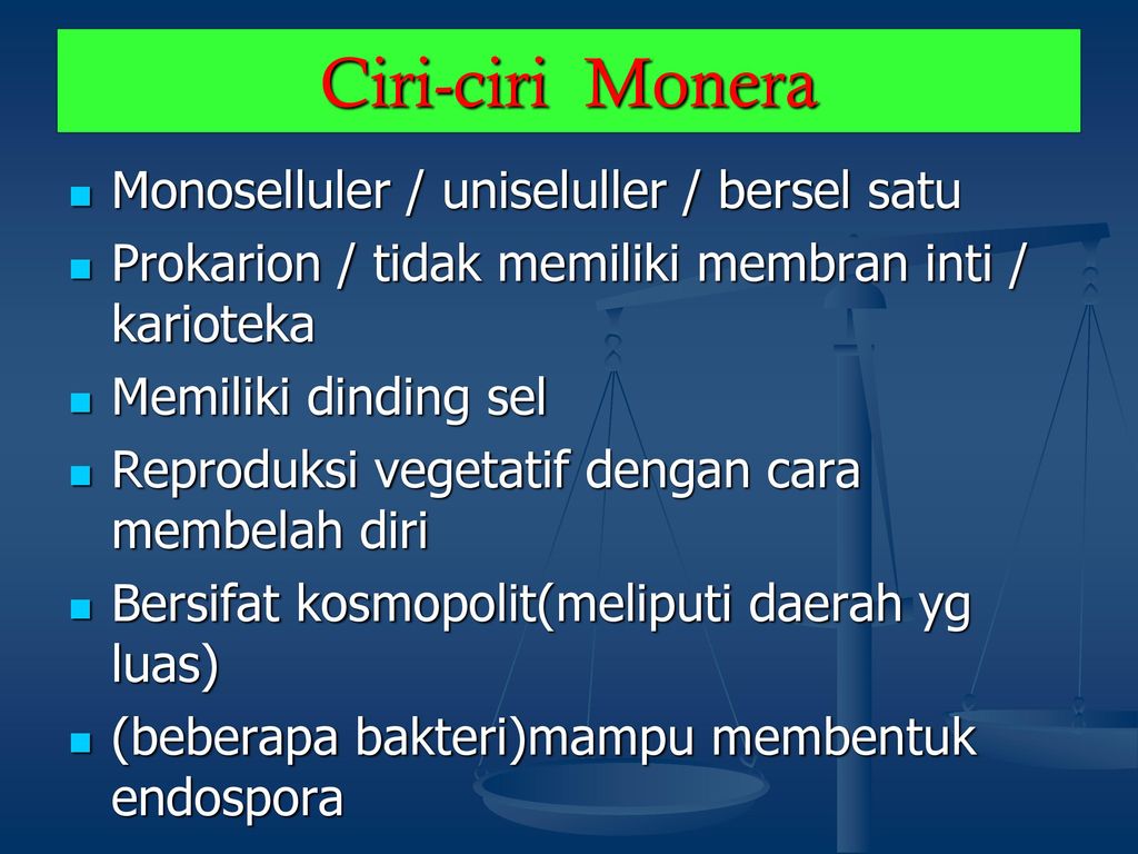 Ciri kingdom monera