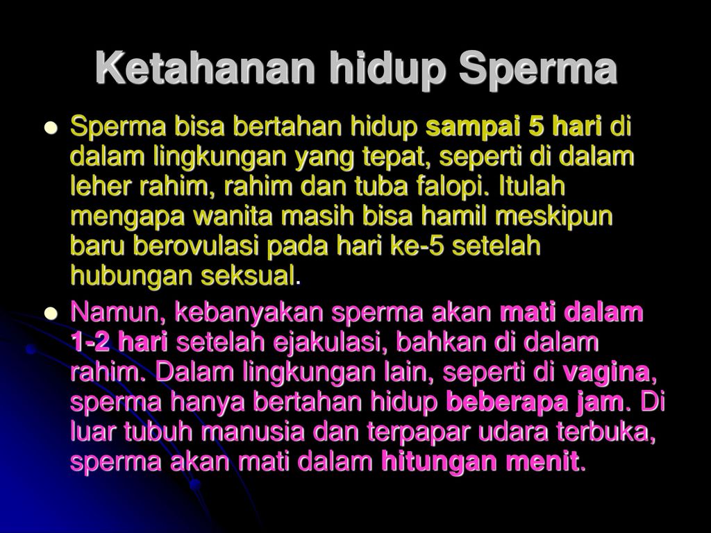 Fakta Fakta Tentang Sperma