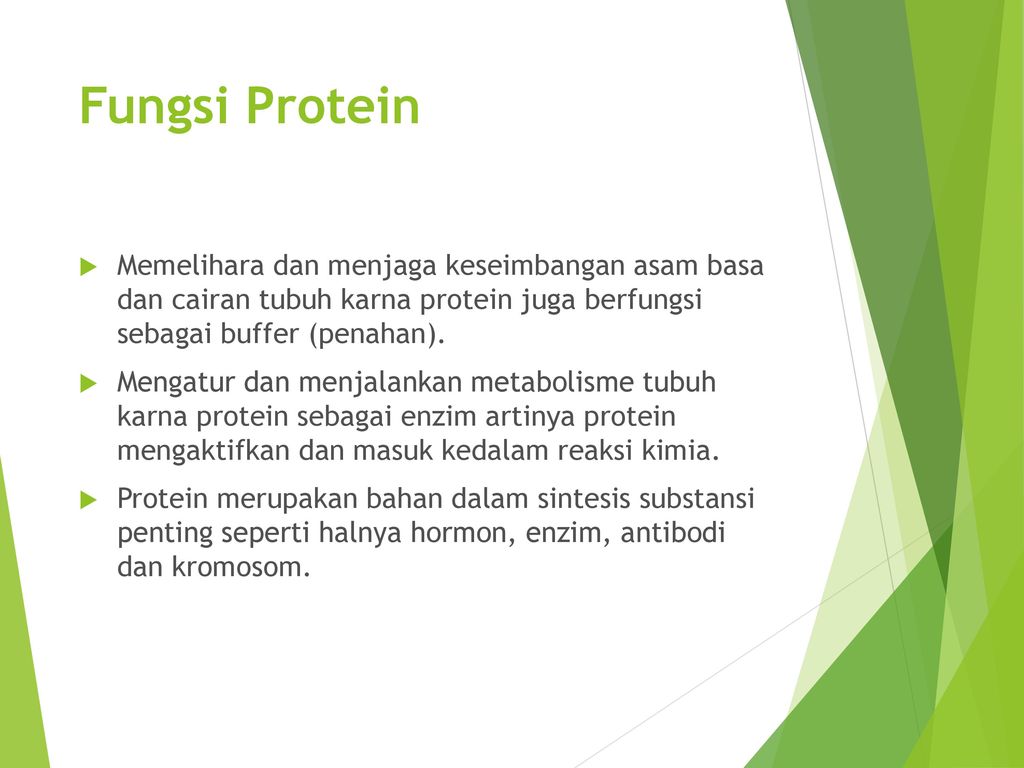 Fungsi protein bagi tubuh