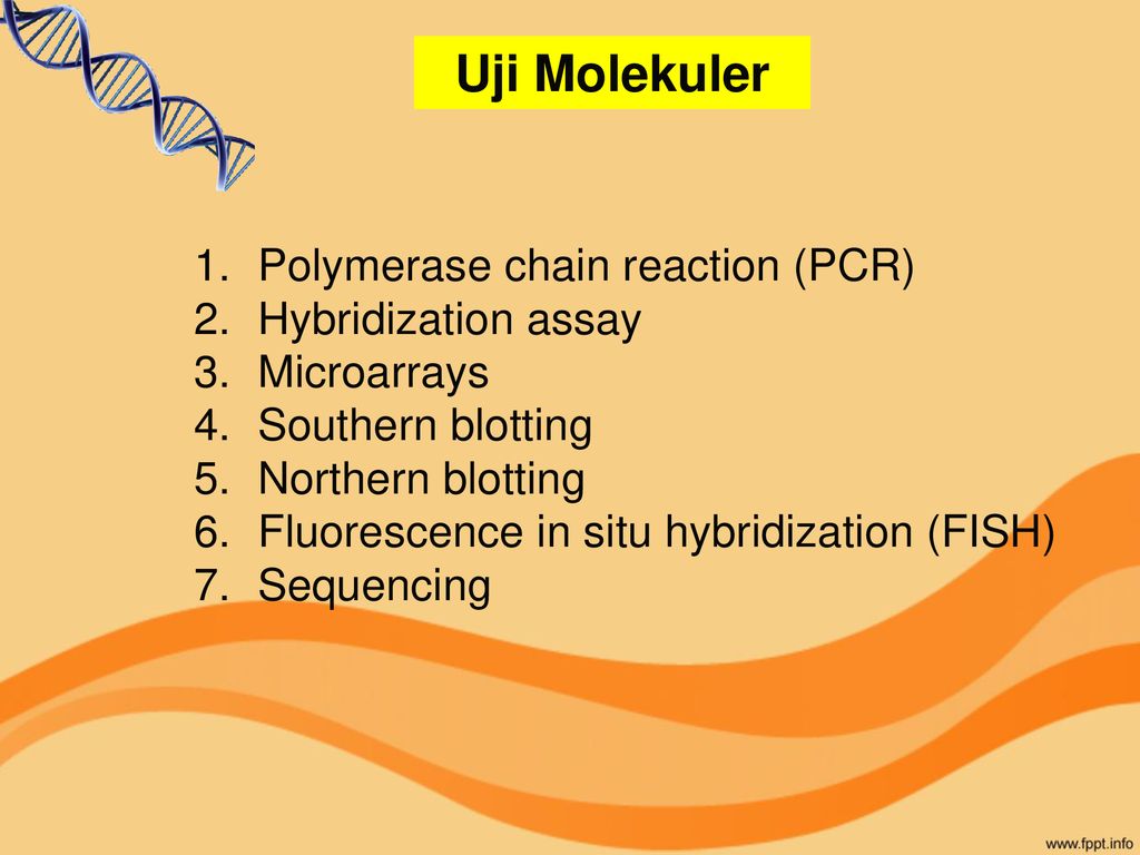 Sistematika Mikroorganisme Ppt Download 