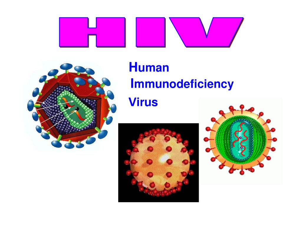 Модель вируса СПИДА. Human immunodeficiency