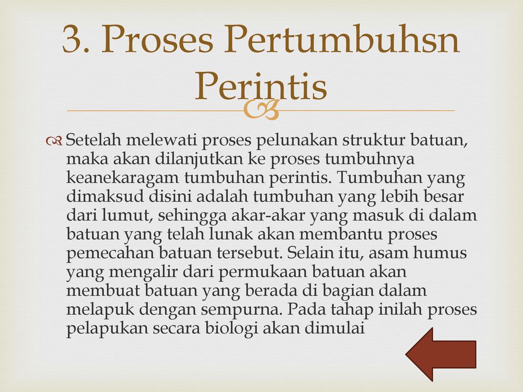 3. Proses Pertumbuhsn Perintis