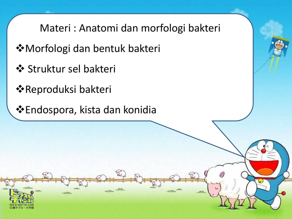 Materi Anatomi Dan Morfologi Bakteri Ppt Download