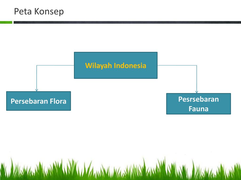 87 Gambar Wilayah Persebaran Flora Dan Fauna Di Indonesia Paling Hist