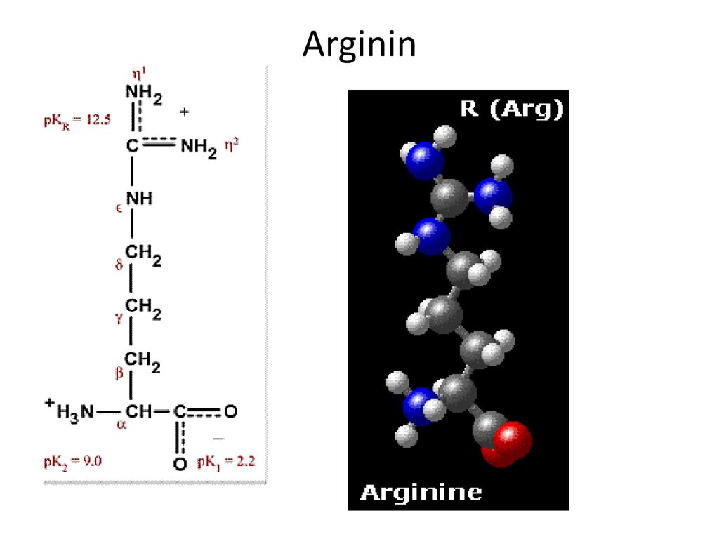 Arginina que es y para que sirve