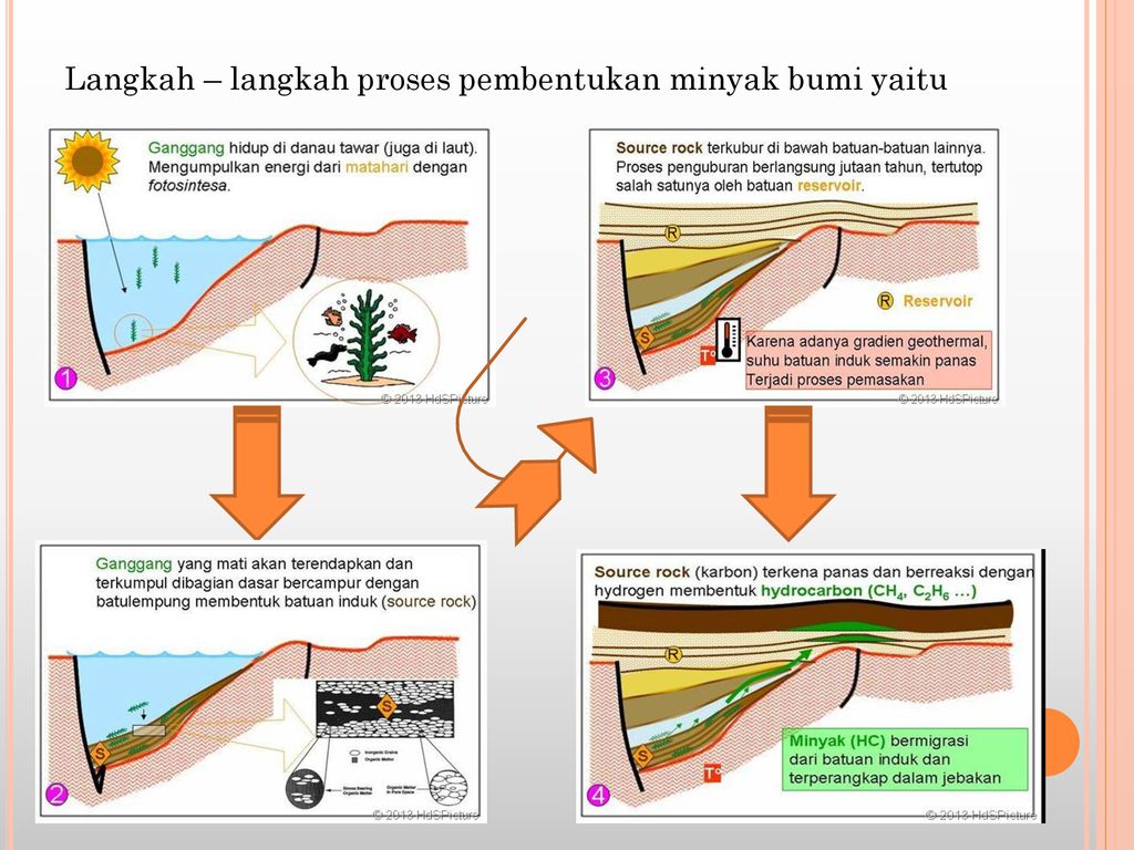 Proses Terbentuknya Minyak Bumi Dan Batubara – Materi Belajar Online