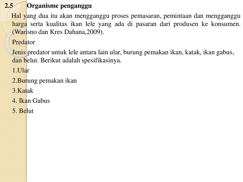 21++ Burung pemakan ikan lele terbaru