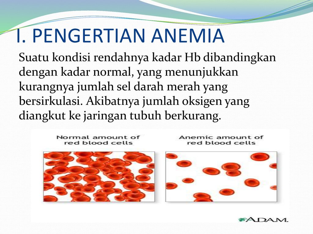 Maksud anemia Iron