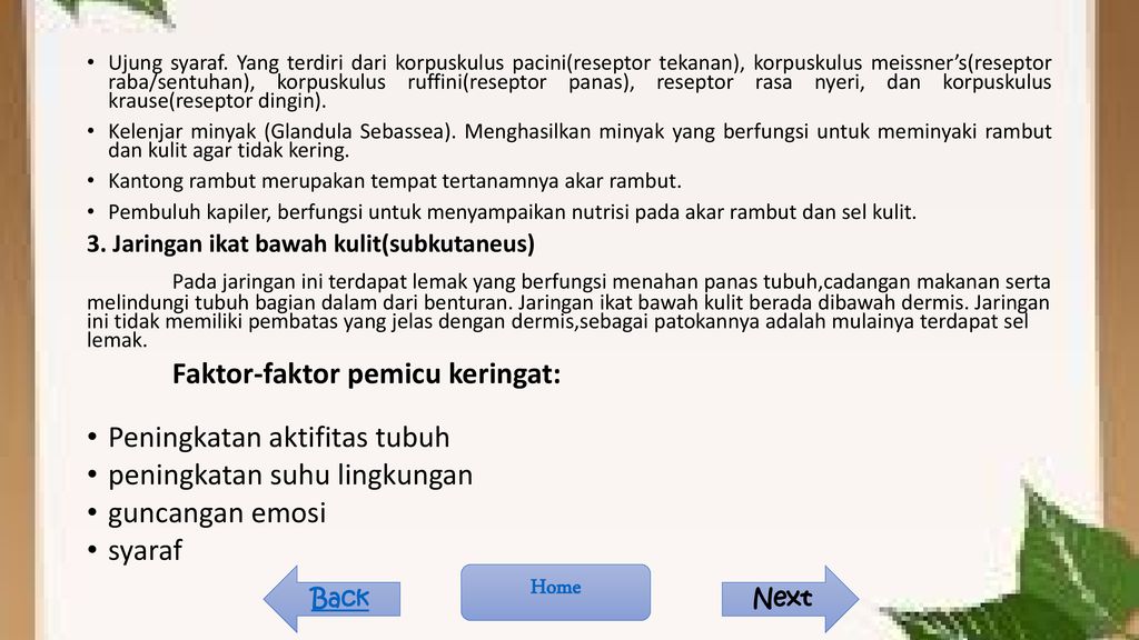 Sistem Ekskresi pada manusia - ppt download