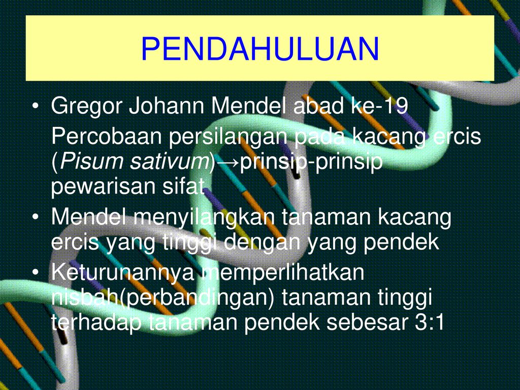 DASAR-DASAR PEWARISAN MENDEL - Ppt Download