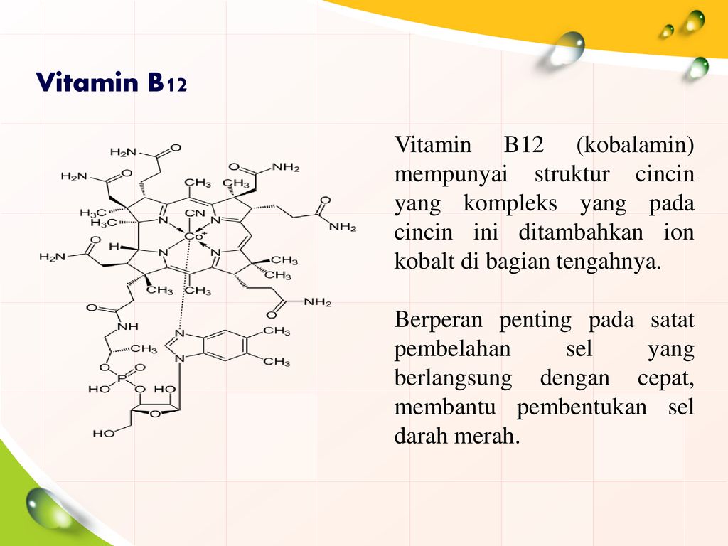 Vitamin yang berfungsi dalam pembentukan sel darah merah adalah vitamin