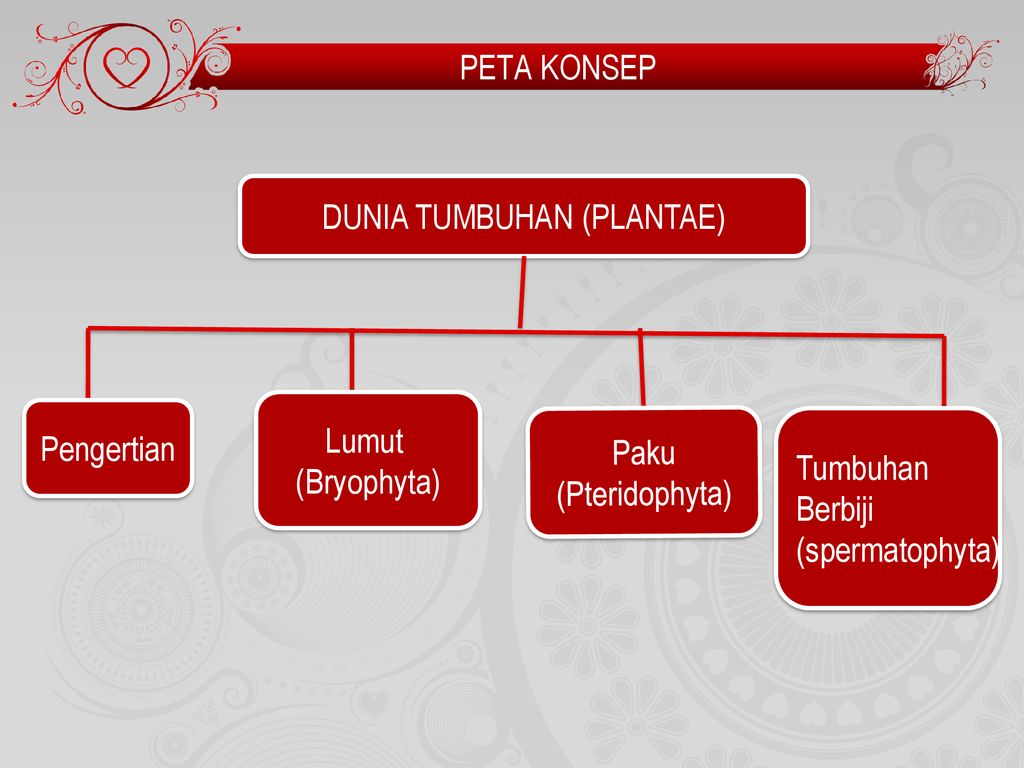 Peta Konsep Plantae Galeri Belajar