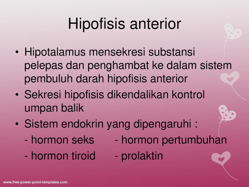 Hormon Dan Antagonis Ppt Download 