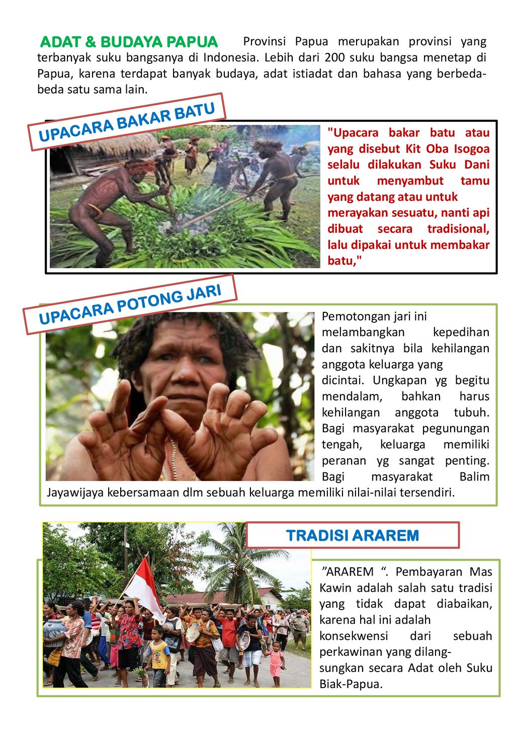 Contoh suku bangsa yang terdapat di pulau papua adalah