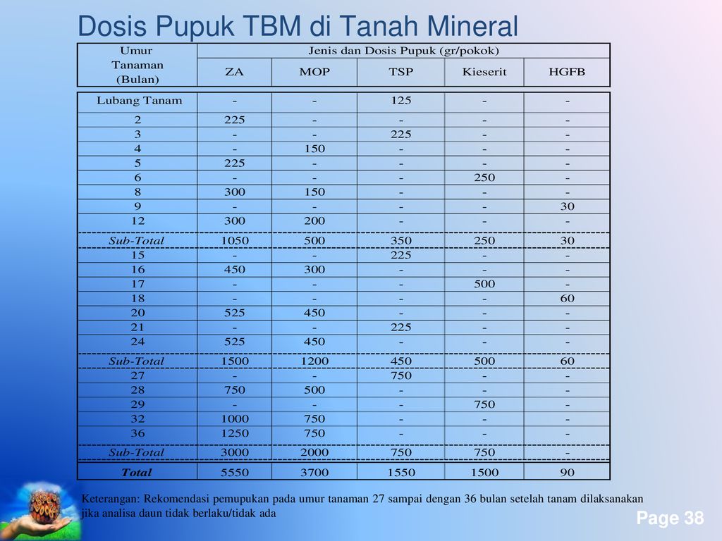 Dosis Pupuk TBM di Tanah Mineral