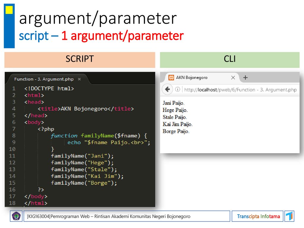 Script parameters