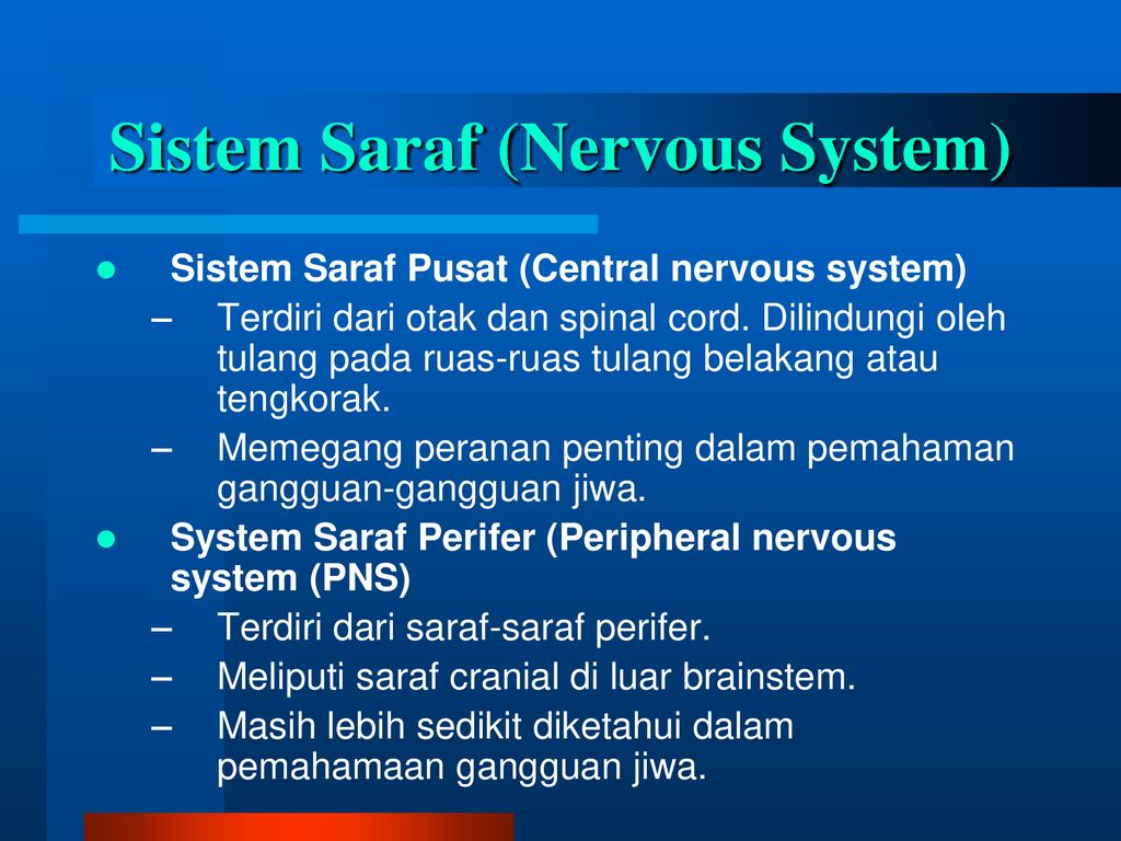 Anatomi Otak And Neurophysio Psychology Dan Gangguan Jiwa Ppt Download