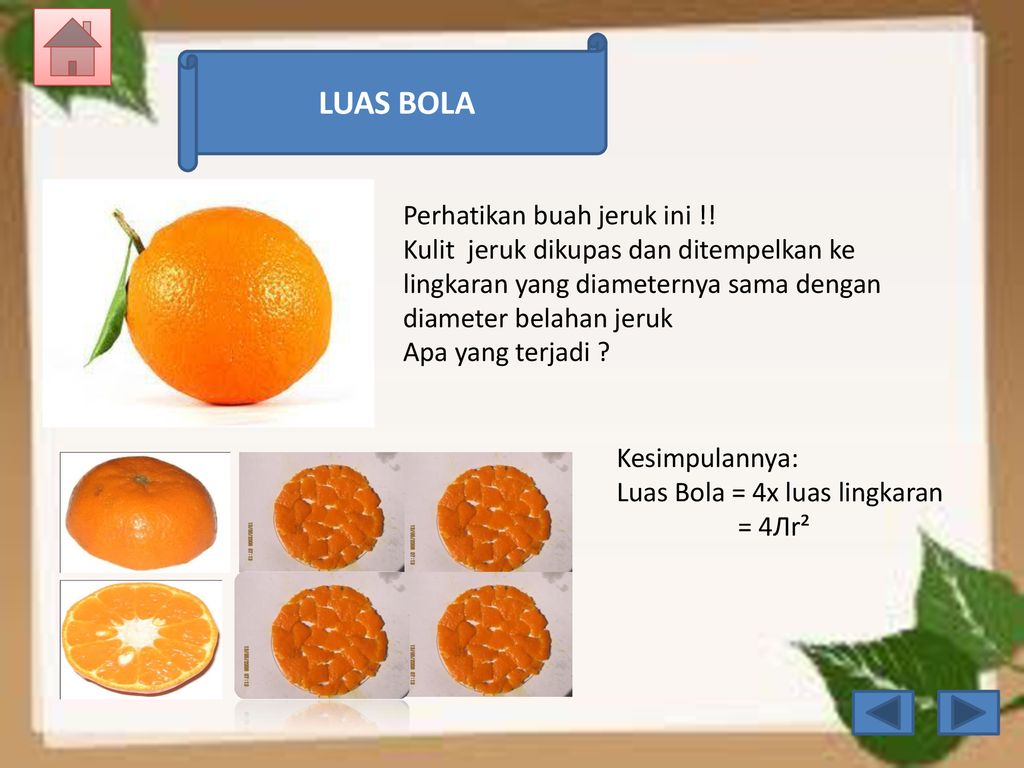 LUAS BOLA Perhatikan buah jeruk ini !!