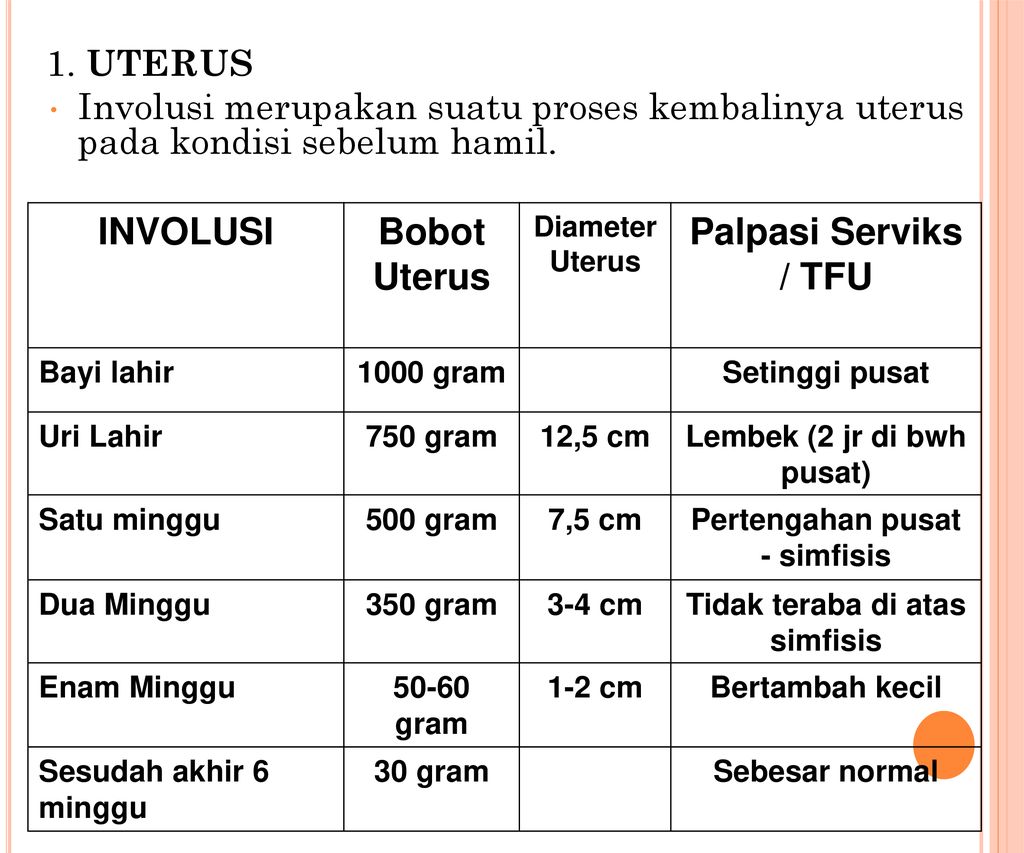 Perubahan Fisiologi Masa Nifas Ppt Download