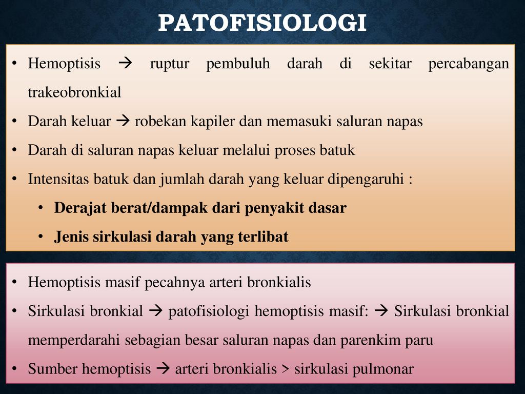 patofisiologi tb paru