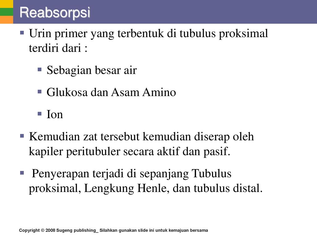 Sistem Ekskresi Manusia Ppt Download