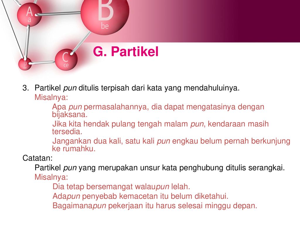 G. Partikel