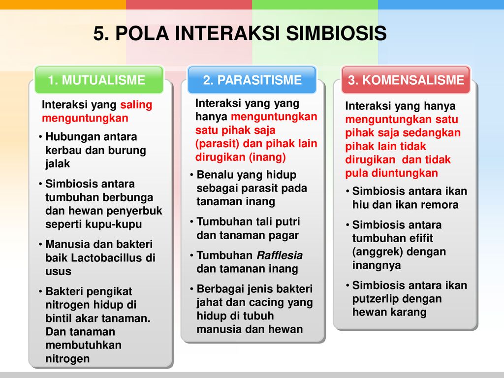 5. POLA INTERAKSI SIMBIOSIS