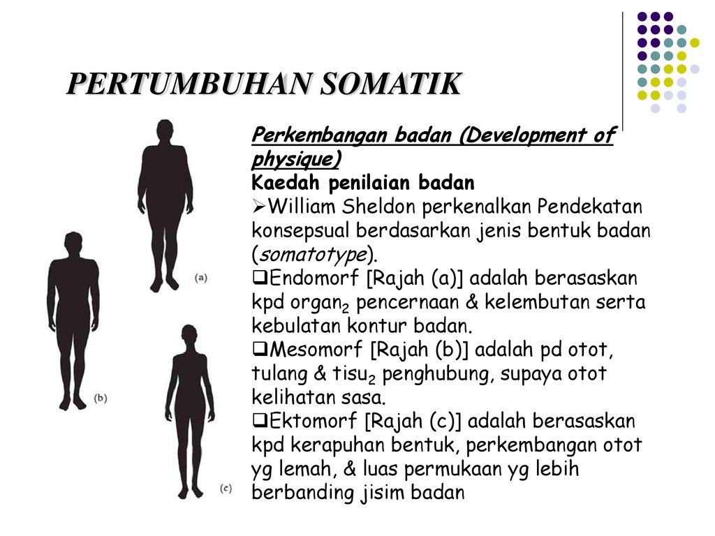 PERTUMBUHAN SOMATIK Perkembangan badan (Development of physique)