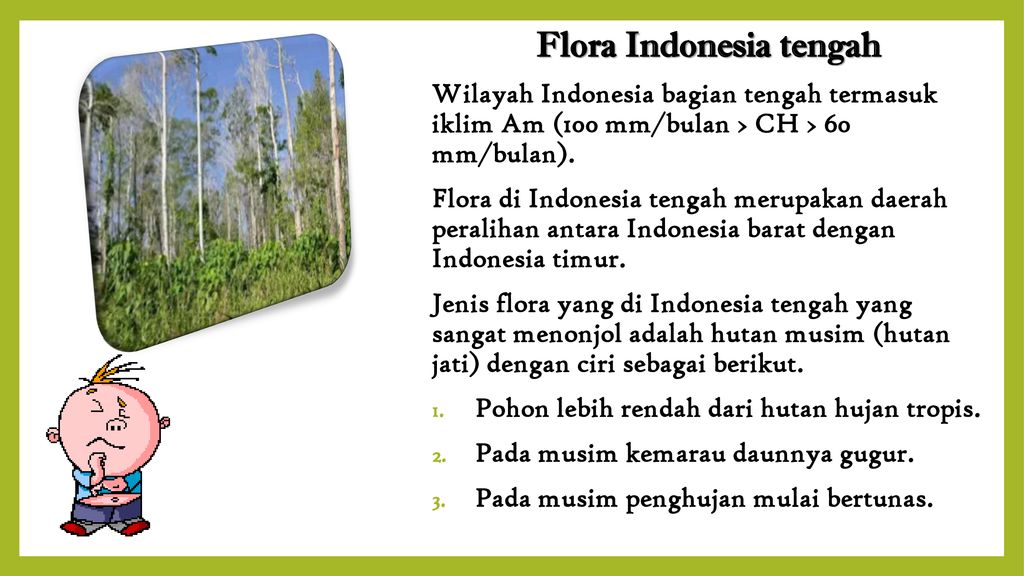 Flora Dan Fauna Indonesia Ppt Download