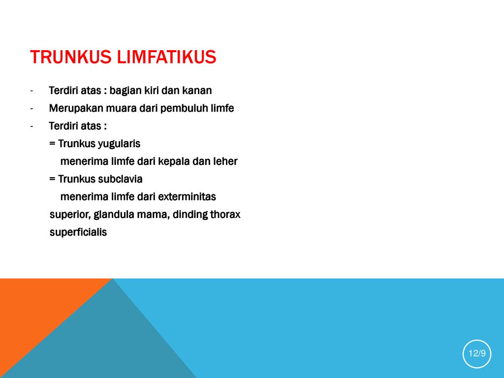 Sistem Limfatik Ppt Download