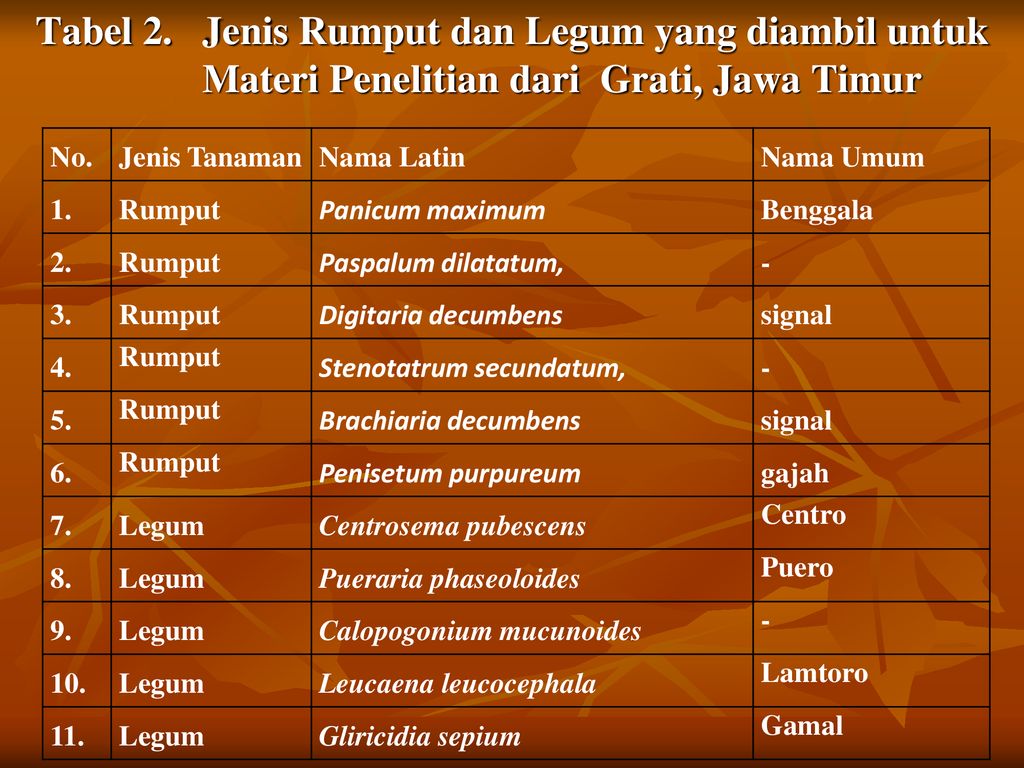 Unduh 95 Koleksi Gambar Gajah Dan Nama Latinnya Terbaru 