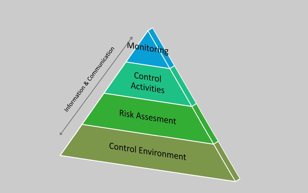 Control environment. Controlled activities