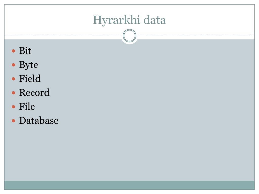 Database fields