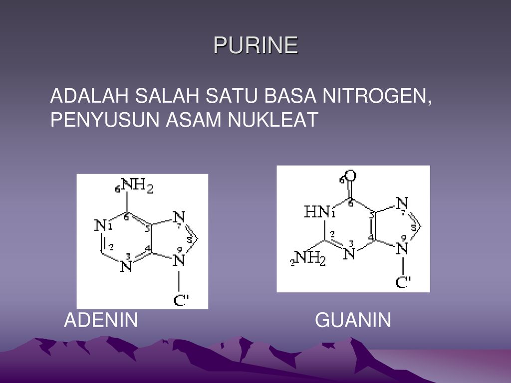 ASAM NUKLEAT ADALAH GOLONGAN SENYAWA NUKLEOPROTEIN, DARI PROTEIN ...