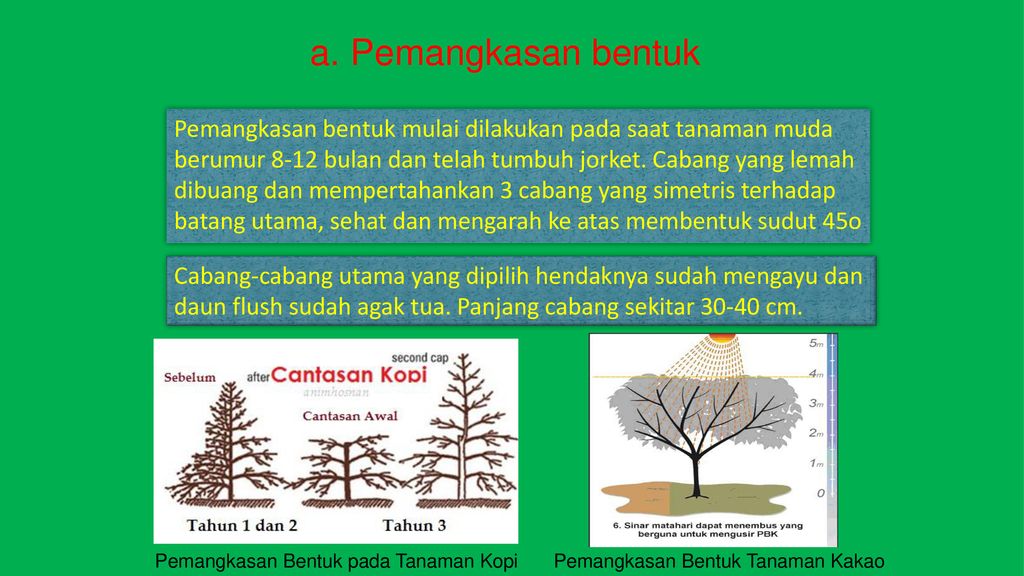 Andi Alamsyah Rivai, S.Pi., M.Si - Ppt Download