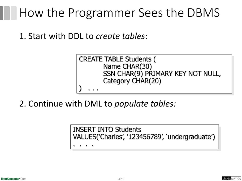 How the Programmer Sees the DBMS