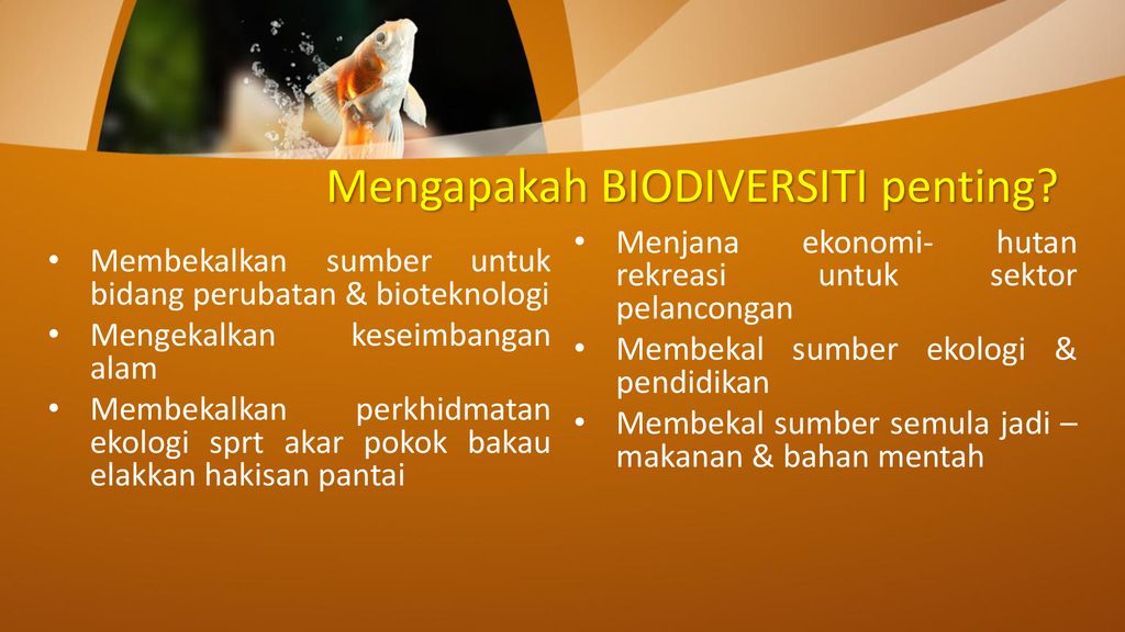 Apa itu biodiversiti